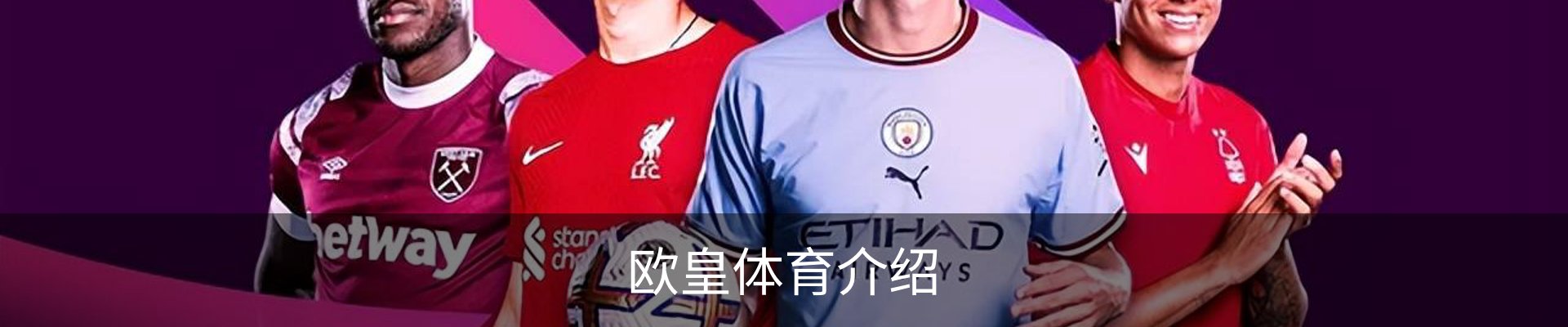 欧皇体育介绍