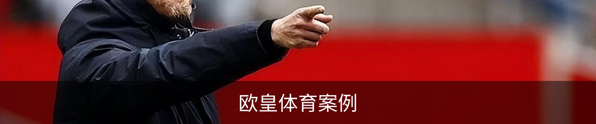 欧皇体育案例